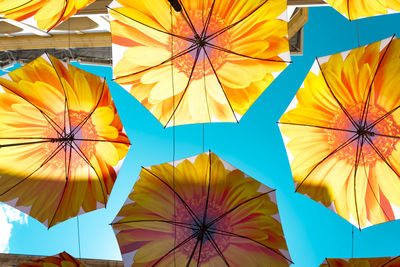 Low angle view of floral pattern umbrellas decoration against clear sky