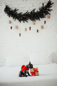 High angle view of figurines on snow