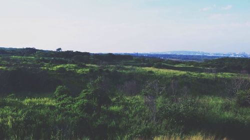 Scenic view of landscape against sky