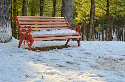 Snow covered landscape in forest