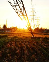 Scenic view of field against sky during sunset