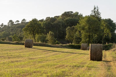 Hay bales on field against sky