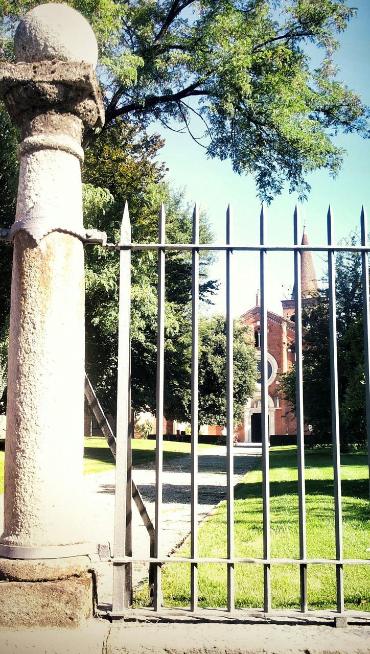 tree, fence, architecture, built structure, building exterior, grass, metal, park - man made space, safety, railing, protection, city, gate, green color, security, growth, sky, day, sunlight, lawn