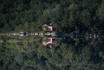 Trees and houses on field against buildings