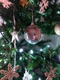 Close-up of christmas tree