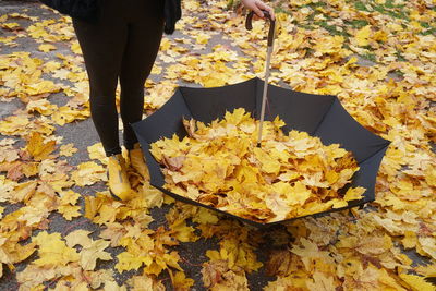 Low section of person standing on yellow autumn leaves