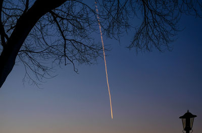 Low angle view of silhouette tree against sky at dusk