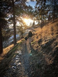 Rear view of mother and son walking in forest