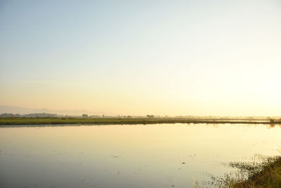 Scenic view of lake against clear sky