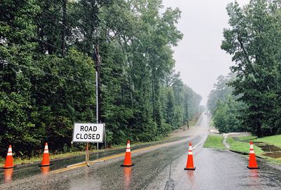 Road sign by trees on street