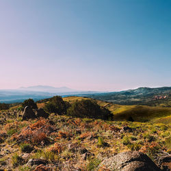 Scenic view of landscape against clear sky