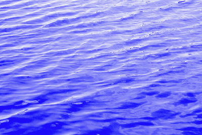 High angle view of swimming pool in sea
