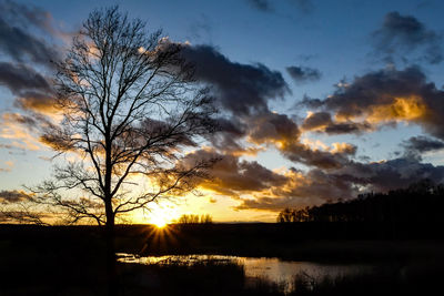 Silhouette trees on landscape against sky during sunset