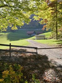 Bench in park during autumn