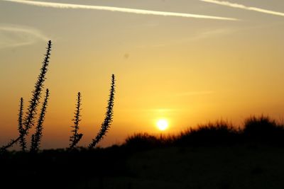 Scenic view of landscape at sunset