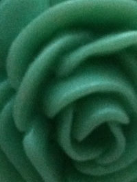 Extreme close up of human eye