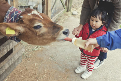 Young woman with horse