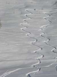 Aerial view of snow covered land