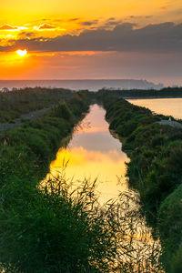 Scenic view of sea at sunset