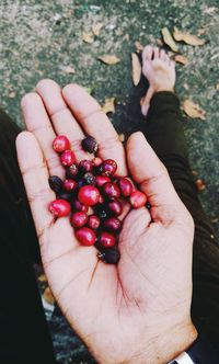 Low section of hand holding coffee beans