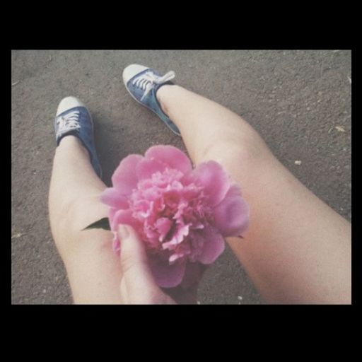 flower, transfer print, person, low section, lifestyles, auto post production filter, high angle view, pink color, part of, petal, leisure activity, holding, fragility, personal perspective, human foot