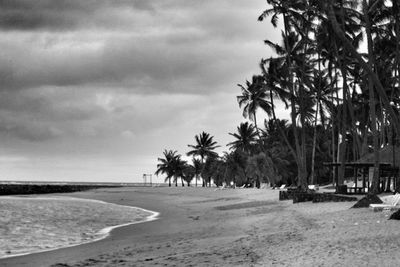 Palm trees on beach against cloudy sky