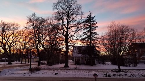 Bare trees and buildings against sky during sunset