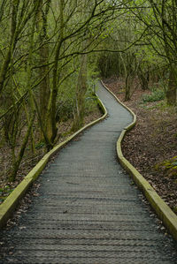 Road amidst trees in forest