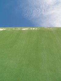 Scenic view of green field against sky