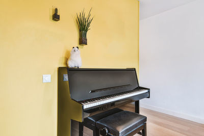 Cat sitting on piano by wall