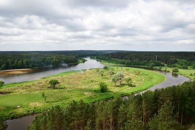 Scenic view of river amidst trees against sky