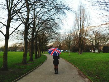 Rear view of person holding umbrella in park
