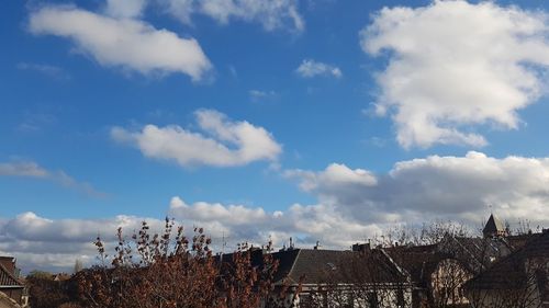 Low angle view of trees against sky