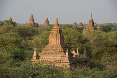Historic temples and trees against clear sky