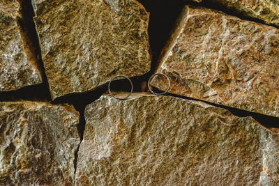 Close-up of dry leaves on rock