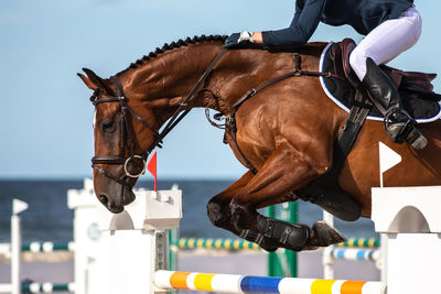 Equestrian, horse jumping competition, show jumping themed photograph.