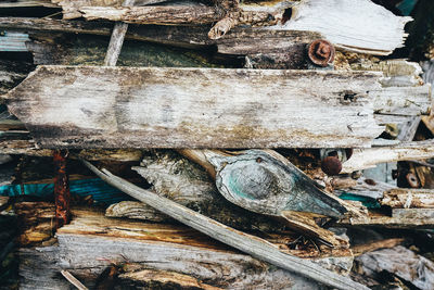 Close-up of old stack of logs in forest