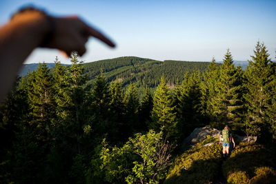 Hand pointing at trees in forest against sky
