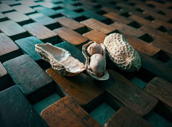 High angle view of shells on table