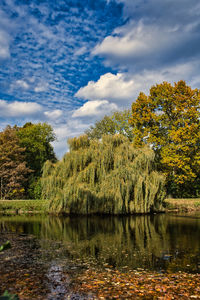 Scenic view of lake by trees against sky