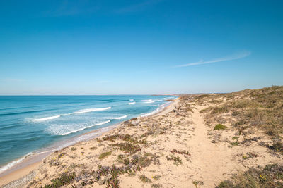 Scenic view of beach against clear blue sky