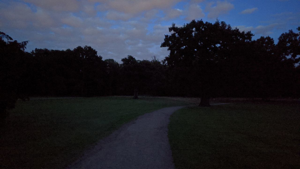 ROAD AMIDST TREES ON FIELD AGAINST SKY