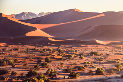 Aerial view of a desert