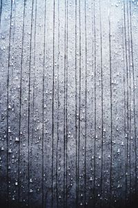 Close-up of wooden plank