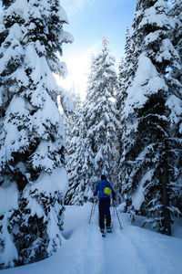 Rear view of man skiing on snowcapped mountain during winter