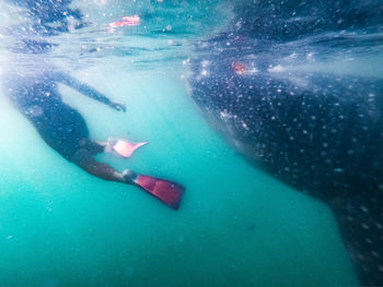 Man swimming in sea