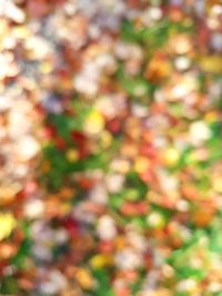 Full frame shot of colorful wall