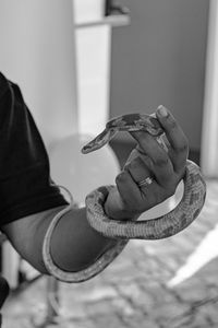 Veterinary professional handling a non-venomous snake known as the corn snake during a class