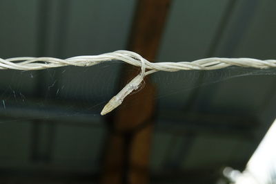 Close-up of rope tied up on metal