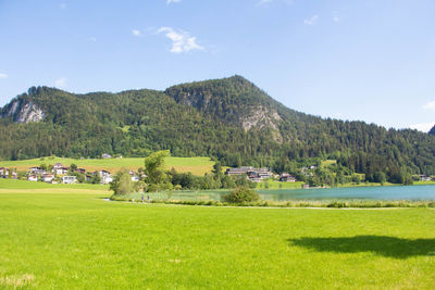 Scenic view of field against sky